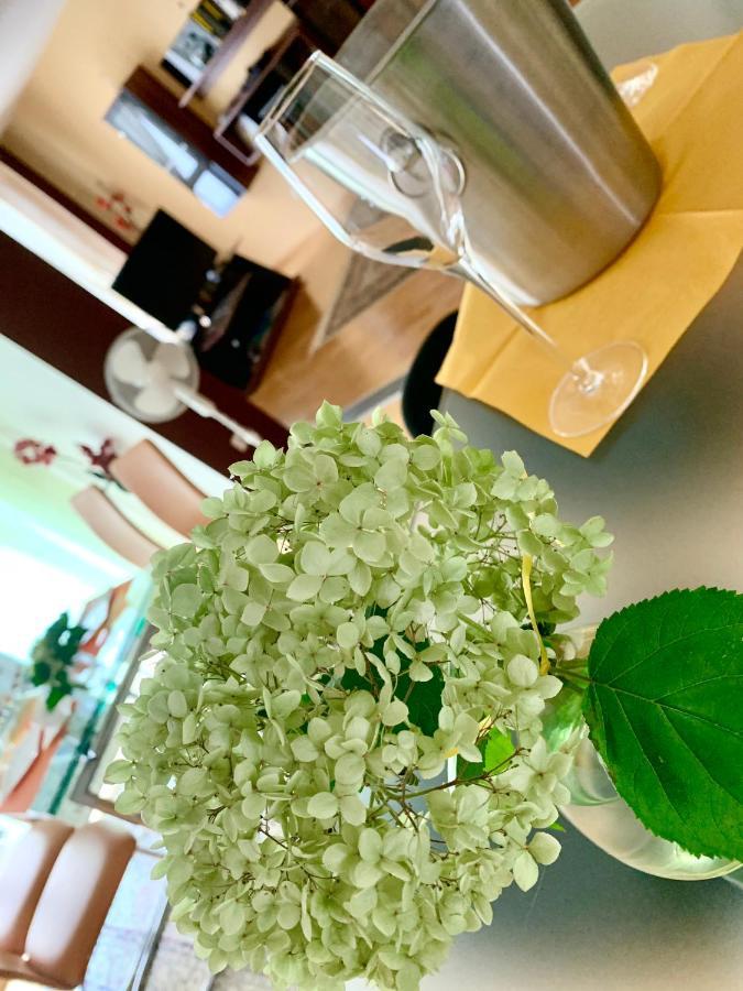 Luxurious City Apartment Incl Garage And Terrace Vienna Luaran gambar